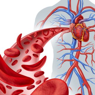 Îmbunătățirea circulației sângelui